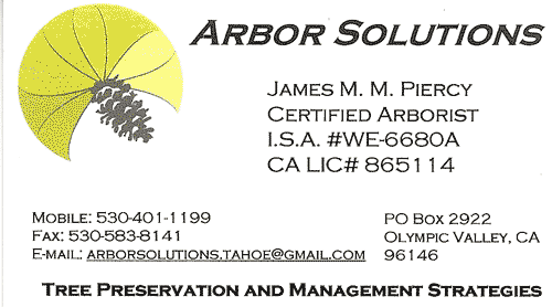 Arbor Solutions - MM Piercy