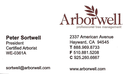 Arborwell - Peter Sortwell