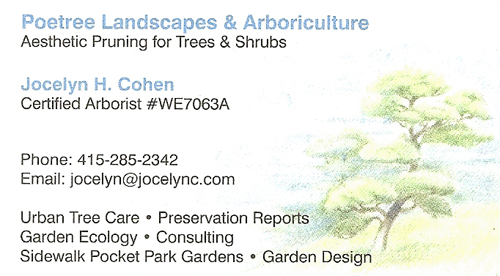 Jocelyn Cohen Poetree Landscapes