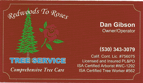 Redwoods to Roses - Dan Gibson