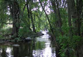 Green Creek