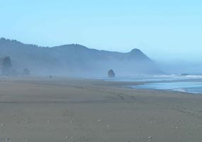 Misty Beach